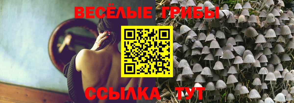 Десногорск  Псилоцибиновые грибы GOLDEN TEACHER  Вход с VPN  Галлюциногенные грибы Magic Shrooms 